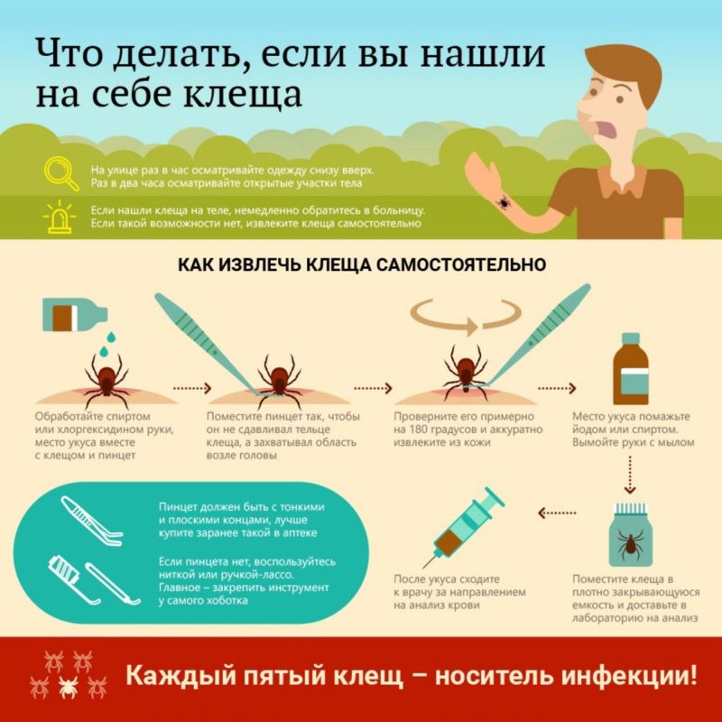 ��� ����������:. � �������� ������ � ����������