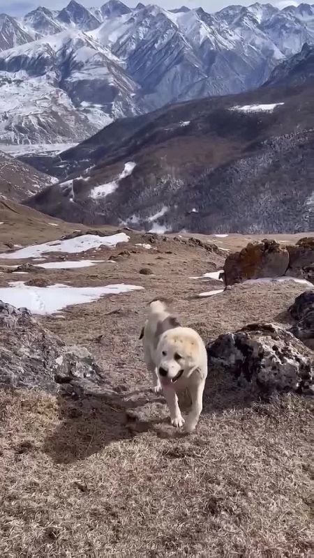 � ���� ����� ����������� ���� � ����� � ���� �������� � ���� � ������