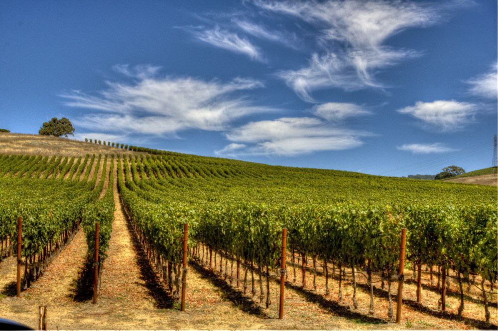 �������� ����� � ������������� � �������������