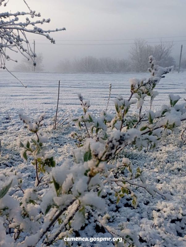 ������� ���� � ���� ����� (��������� �����)