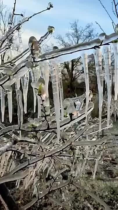 ������� ��� � �������.. ��� ����� �� ������ ��� ��� � ������� ��������