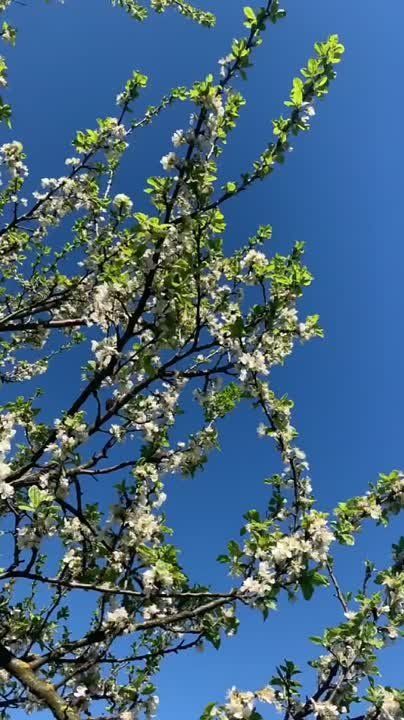 ������ �� �������