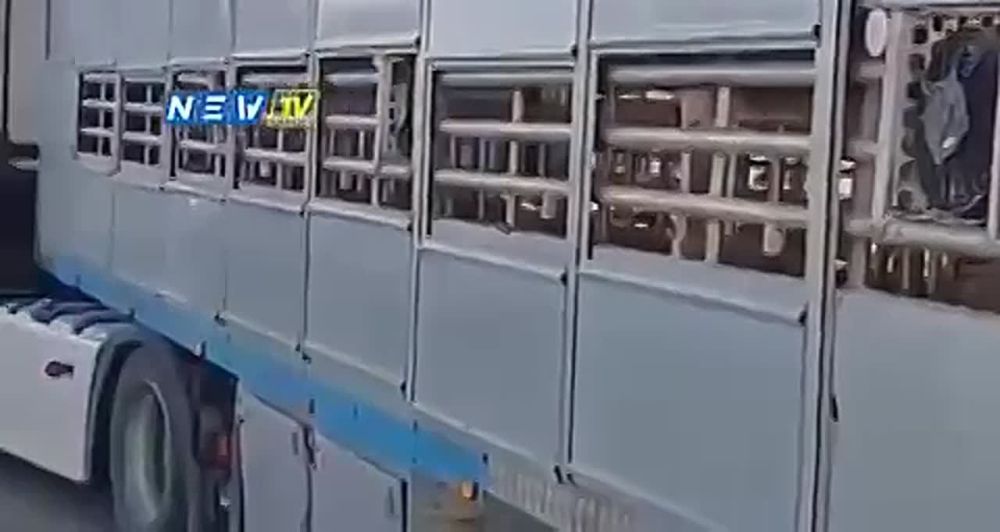 �� ������� � �������� ������� ������� ���������� � ������ ��������, ������� ����� � ������� �� �����������