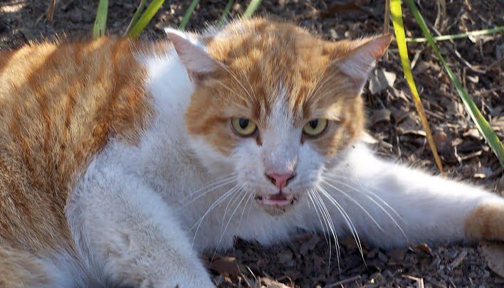 ����� ����������� ���� ������, � ������� ��������� ������ ���������