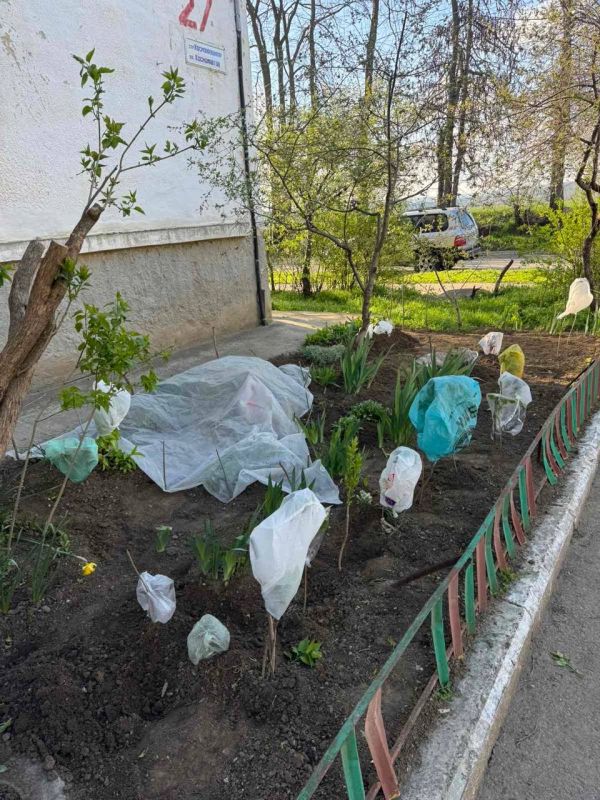 �� ������� �������� ���������� ����� � �������� � ������ ��, ��� ����� ������ �� ����������