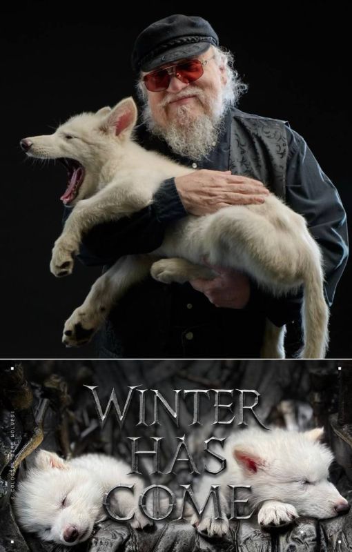 ����� ����� ��������� ������ ������ ���������� � ������������ �����������