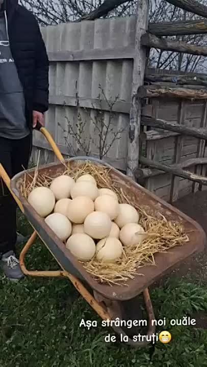 � �������� �� ����� ��������� � ����� ��-��������