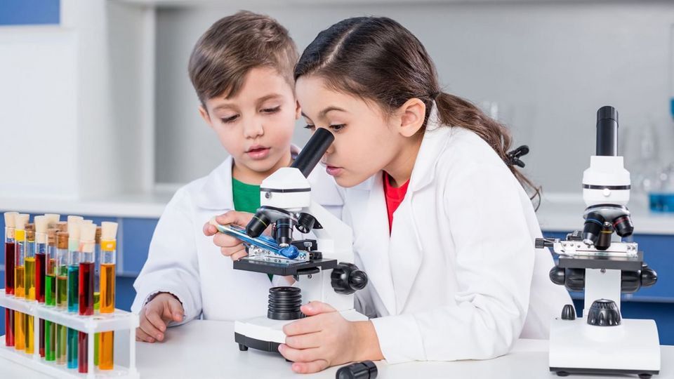 ������� ���������� ��������� ����������� ������������������ �������� �������� ��������� �������