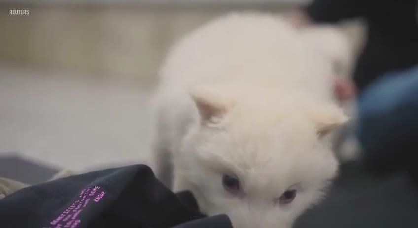 ������ ��������� �����������