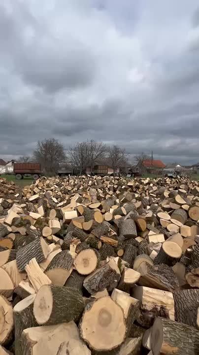 ������ �������������� �����, ���������� ���� � �����������