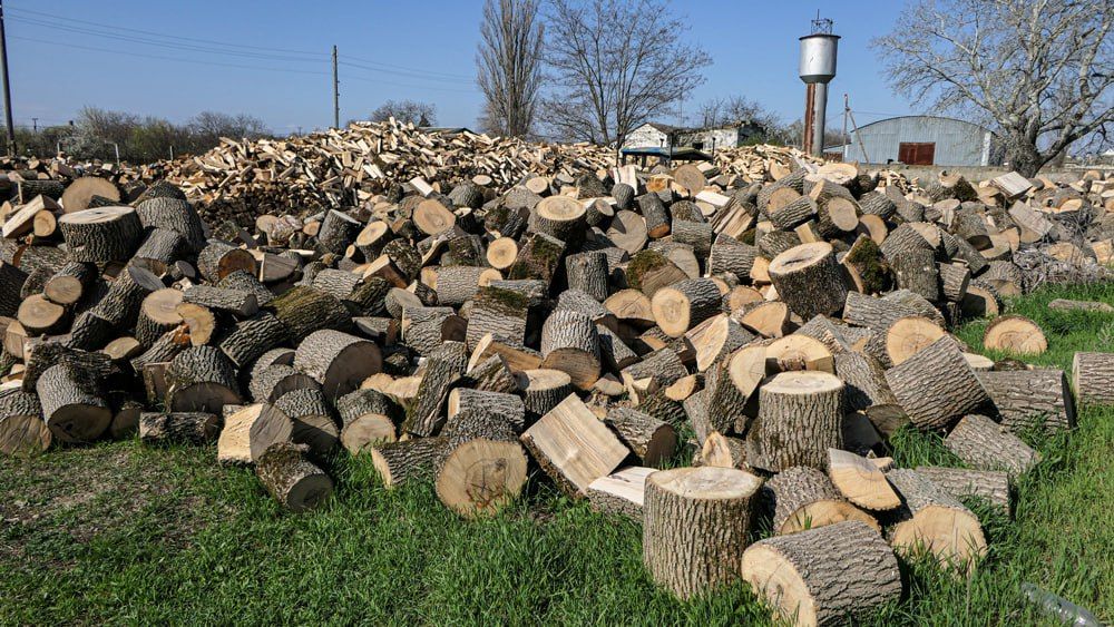 �������� ����� ����������� �������� ���������