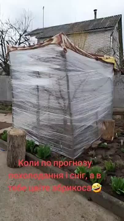 �������� ������� �������� ������� ������� ������, ����� ������� ������ ������� �����