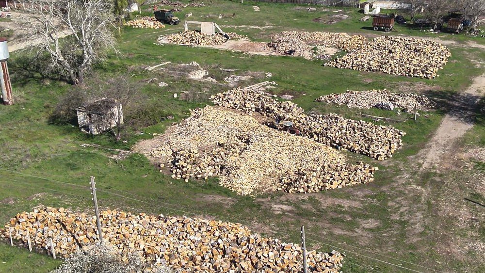 ��� ����������� ����, ��������� � �������������