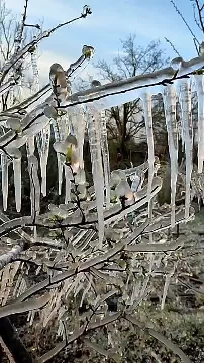 � ��� ��� ����������� ������ ���������� � �������