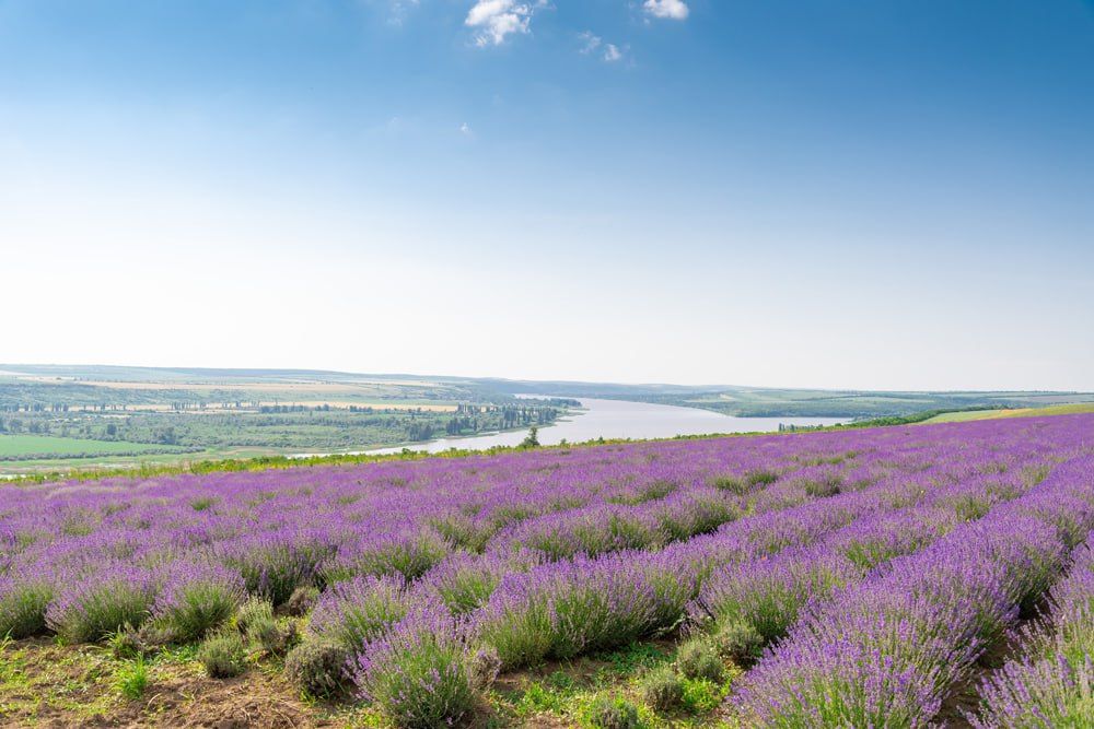 ����������� �������� ������� �������� ����� ����� �������������� ����� � ���� �����