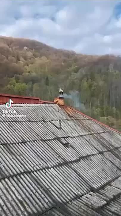 ����� ��������� � ���� � �������, ��� �����