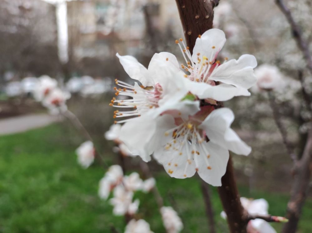 ������ ������ �� �������� ����������� �������������