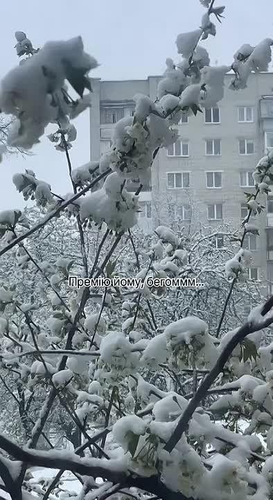 ��� ���������� � �������� �������� �����