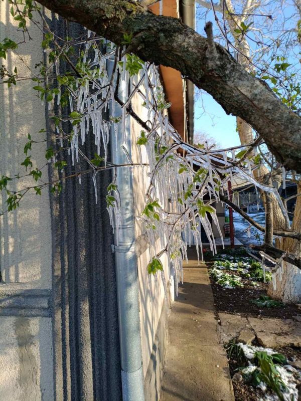 Ледяная красота в селе Ротар