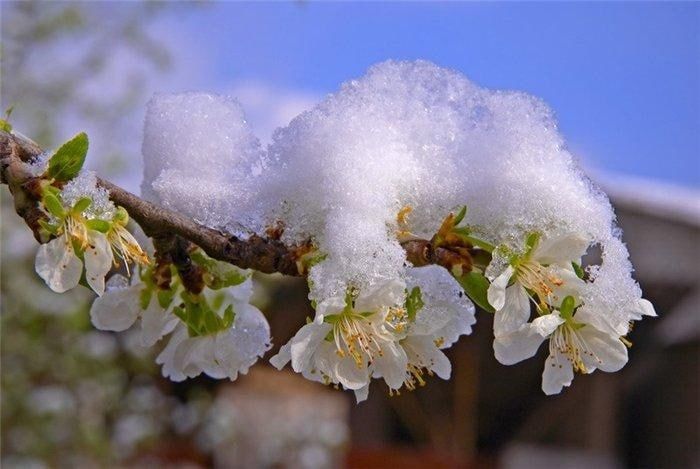 ������������� ������������� � ����������