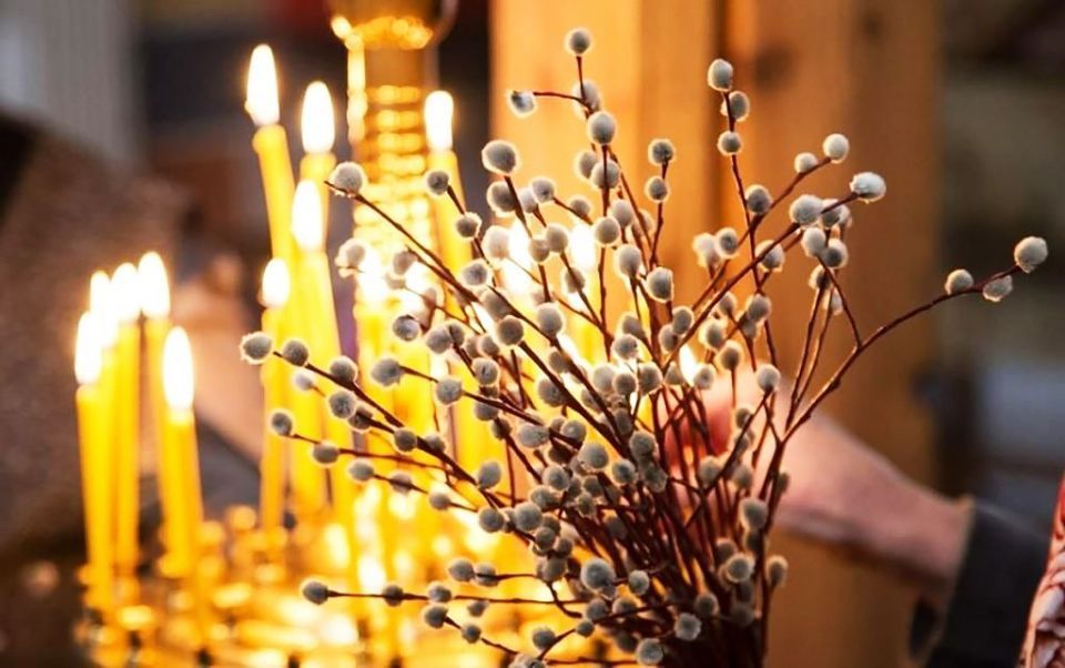 ������� ������� �����������: ���� �������� ���������� �������� � ���������� ����� � ����� �����