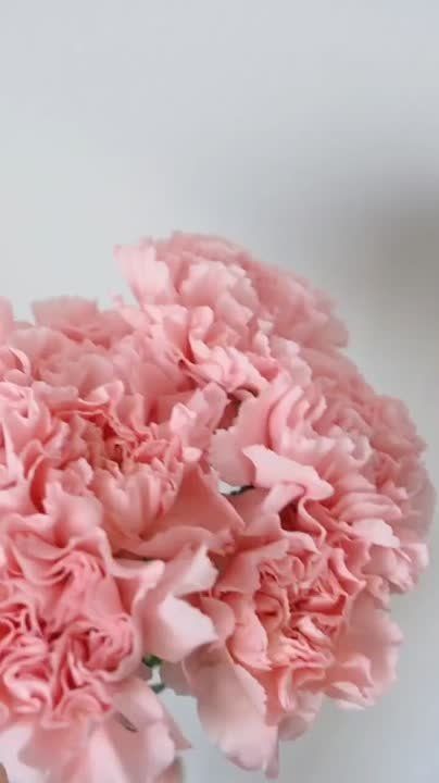 ������ �� �������