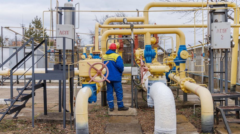 ��� ��: ������ ���� ������� ��������������� �������������