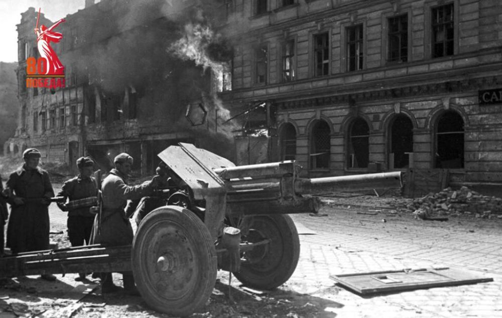 ������ ���������: � ���� ���� 80 ��� �����