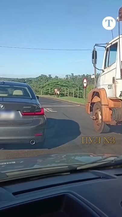 ������� �������� �� ���! ��� � �������, ��� �� ��� ������ ������� ���