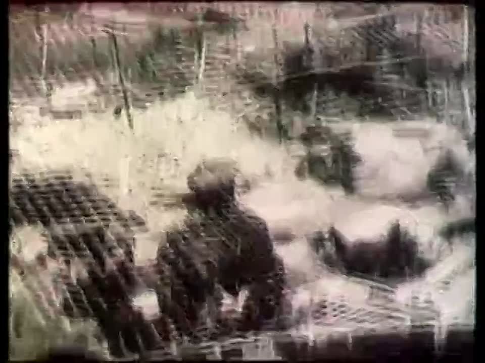   80     