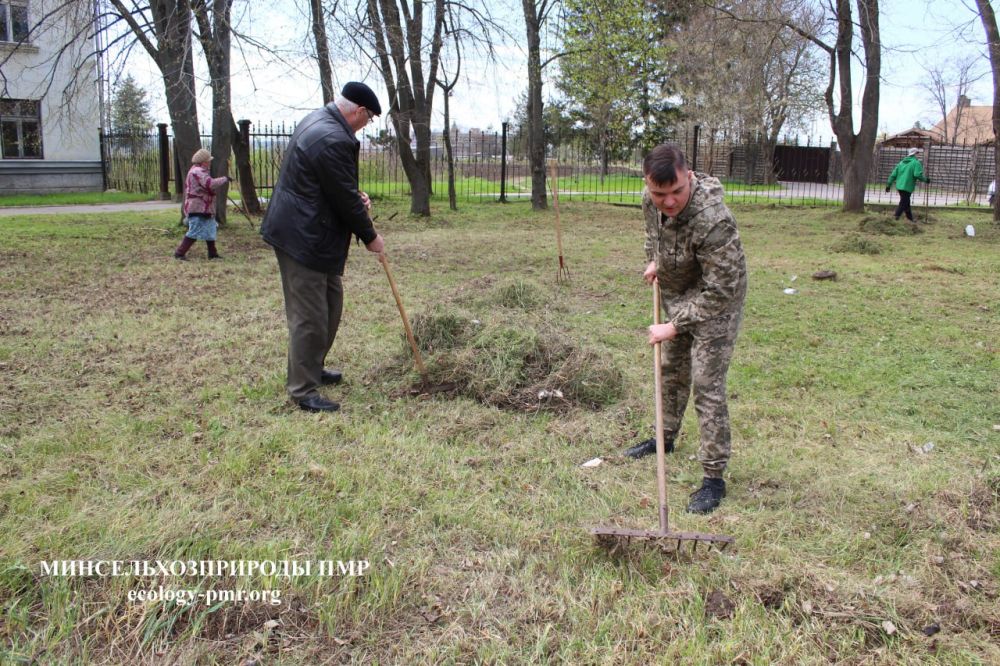 ���������� ���������������� ������� �������� �� ������ �������: ��� ������� �������������� �����, ��������� ������� � ����������