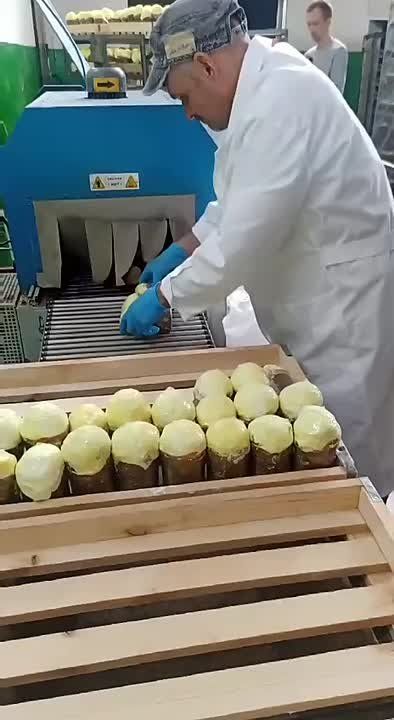 ������������ ���������� ����� � ���� �� ����� �������������, ���������� � ������� ����� �������