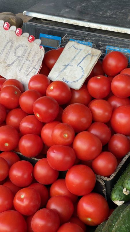 ���� �� ������ ����� ����� �����������: