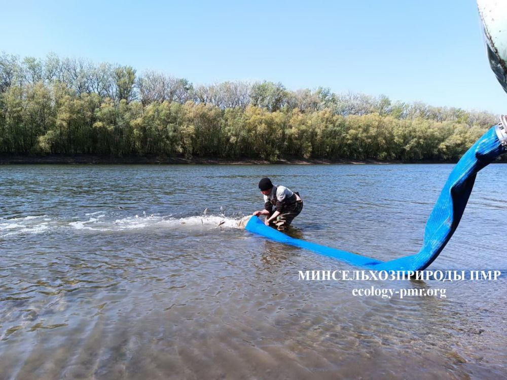 �������� ���� ���������� ������� � �������������