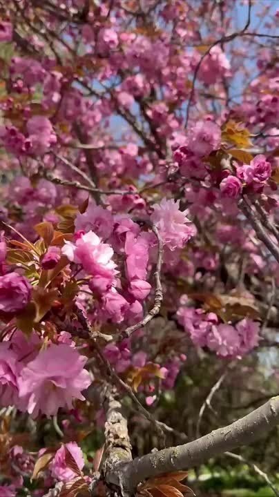 � ��������� ������ ��� ����� ������ �����