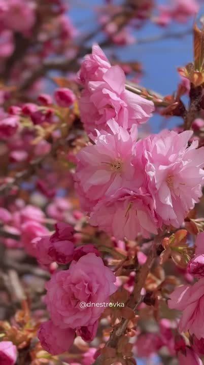 ������ � �����. �������� ������������������ ���� �� ����� �����, ������� ������� �� ��������