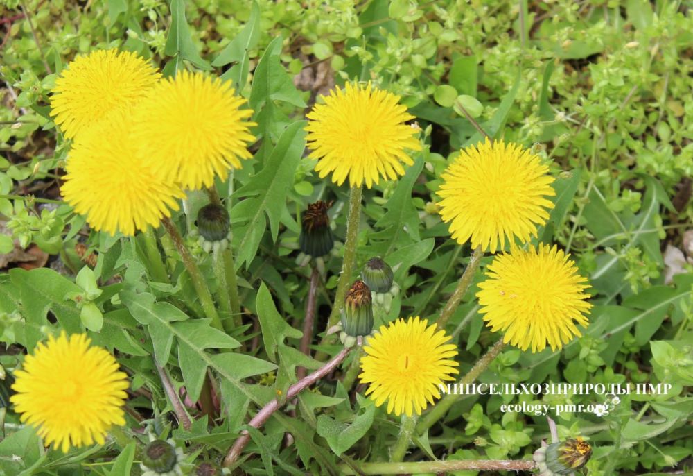 Доброго утра!. Прогноз погоды на сегодня, 18 апреля