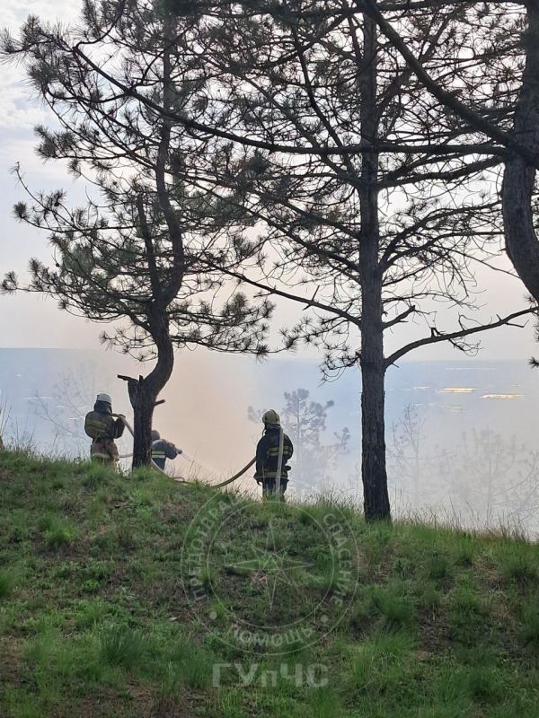 5 �������� ����� ����� ������� ����� ������ � ������������