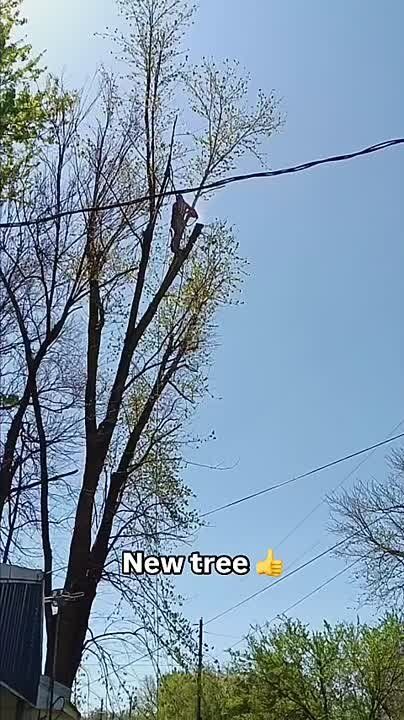 �������� ������, ������� �������� � ��� ��� �� ����� ���� ���������� ����� �������