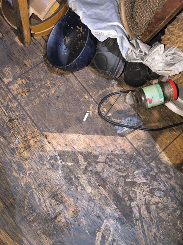 ����� � ��������. ����� �������