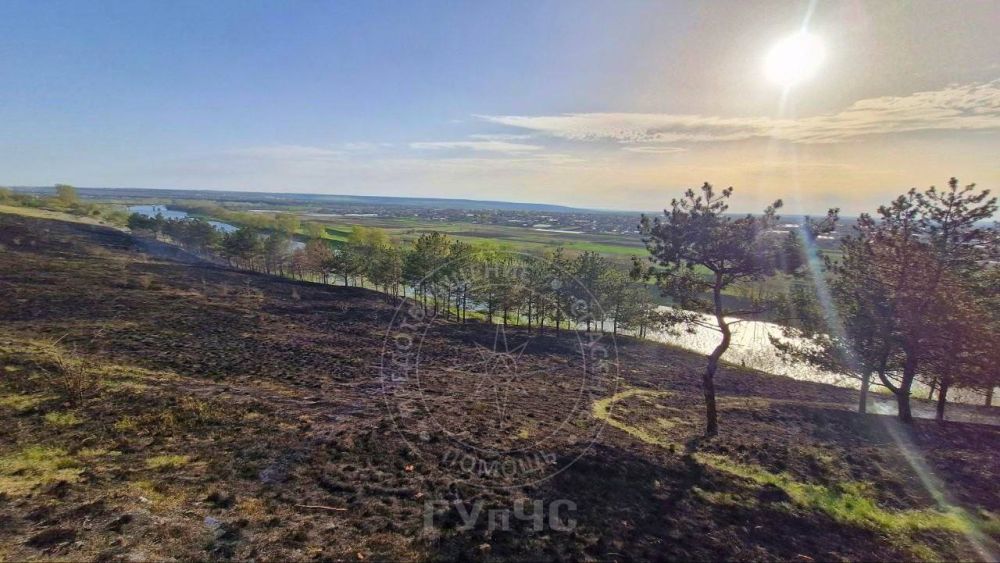 ����� ������������� � ������ ������� 5 �������� ����� �����