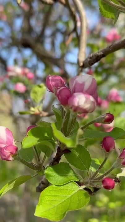 ���������� ������ � ����� � ����� �� @tv_pmr