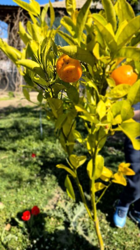 � �������� ������� ���������!