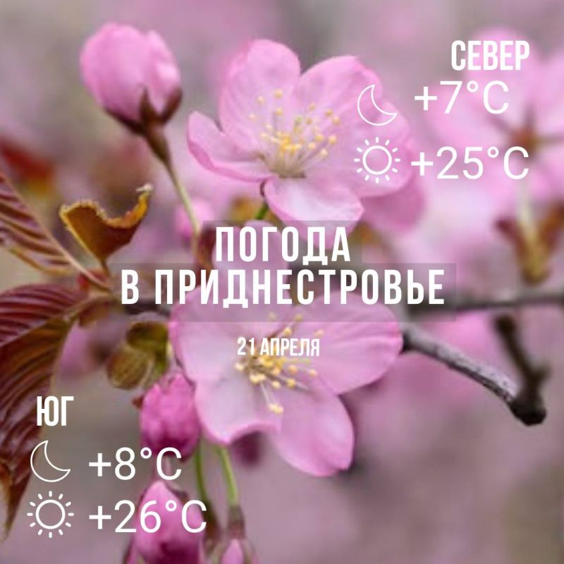 ���� � �� +26��. ��� �������