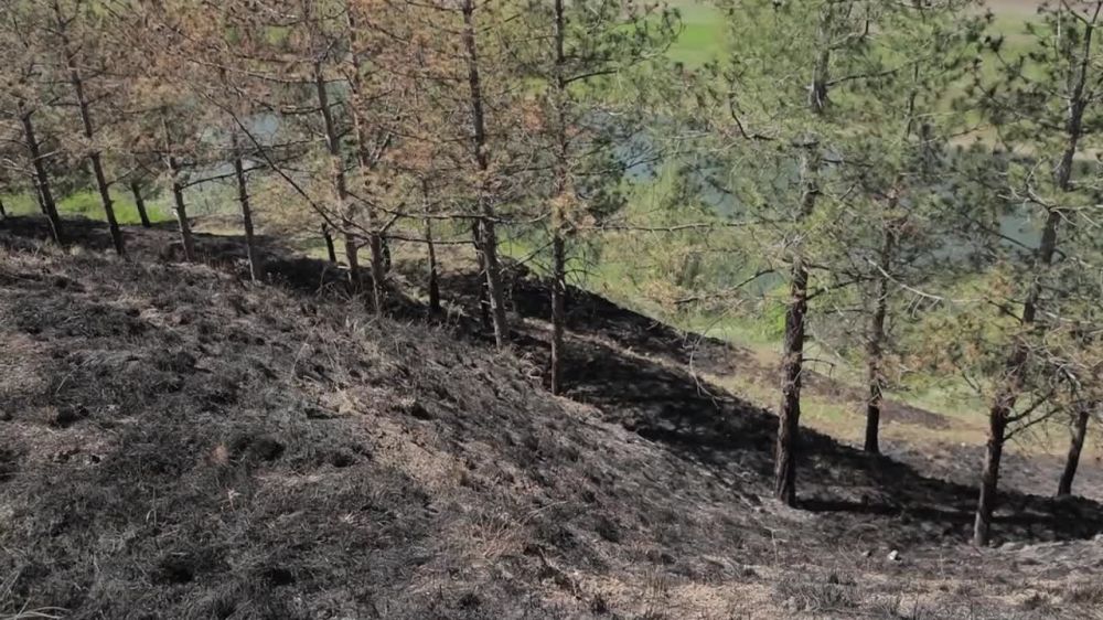 ��� ��� ������ �������� ������� ����� ������ ��������������