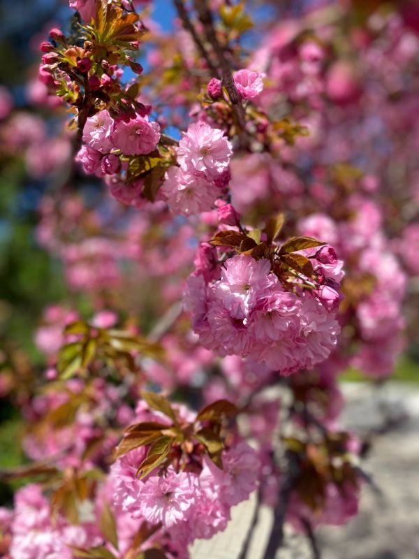 �� ���� �������� � ��������� ��������� ���� ����� ����� �����