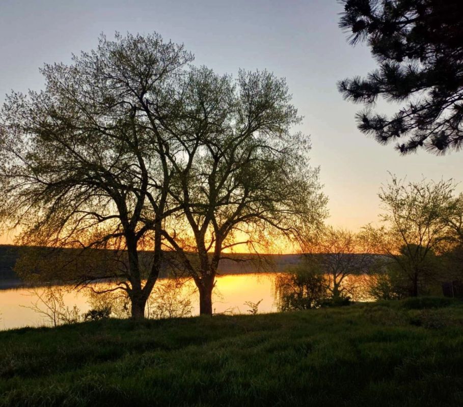 ���������� ����� ��� ��������