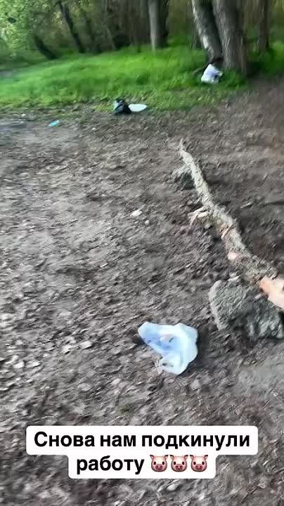 ����� ������� � ������ ��������� �������� �� ��������