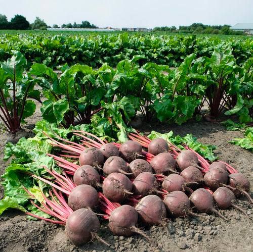 � ������� ��������� ���������� ��������� ���������� ������ �������� ������� �������� �����