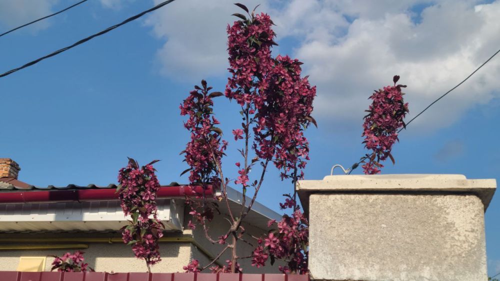 �� ������ ��������� ����� ���������� ������������ ������ �����������